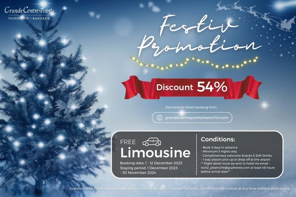 Festive Promotion Festive Promotion